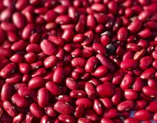 Rajma (Red Beans)